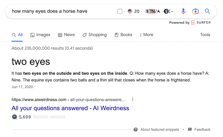 Featured Snippet Example