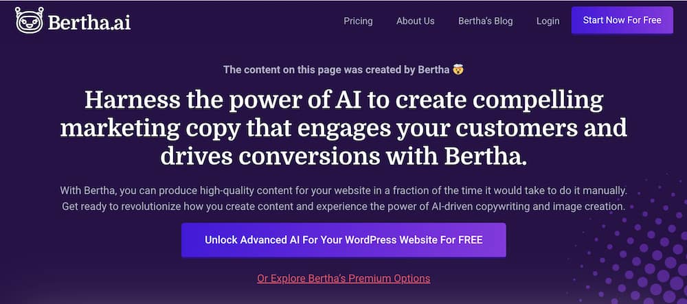 Bertha ai copywriter homepage