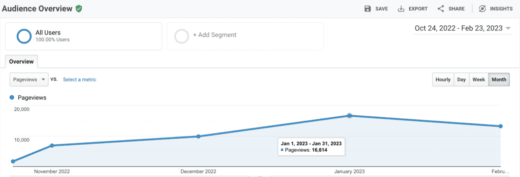 Amanda's January Pageviews in Google Analytics
