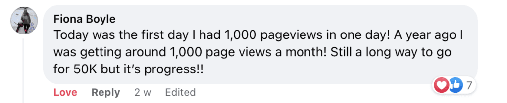 "Fiona Boyle
Today was the first day I had 1,000 pageviews in one day! A year ago I was getting around 1,000 page views a month! Still a long way to go for 50K but it's progress!!"