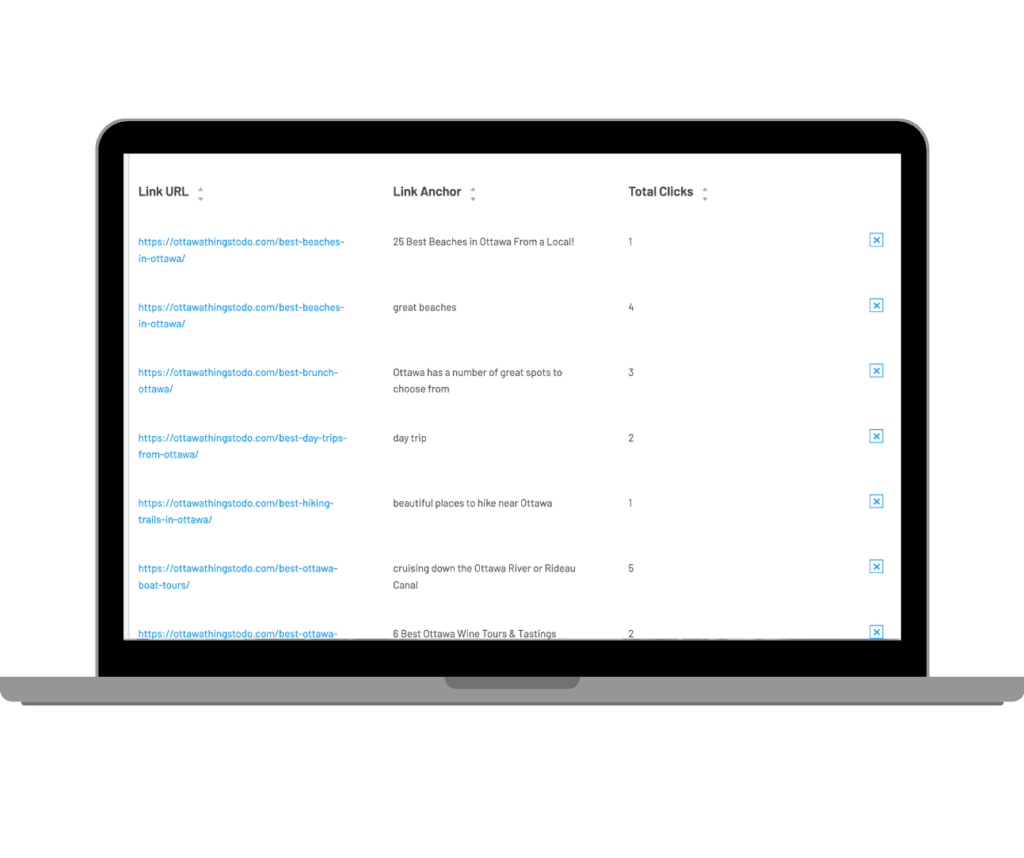 Detailed Clicks Report page from Link Whisper showing URLs with their respective click count, a crucial metric for bloggers to track affiliate link performance.